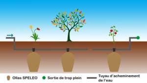 Ollas Spéléo (oya d'irrigationen céramique)