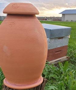 Ollas Bee Bienentrinker