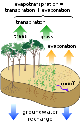 Evotranspiration