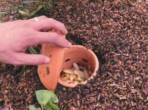Composteur enterré en céramique Poterie Jamet